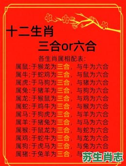 玄机字人是什么生肖？玄机打一个准确生肖