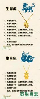 容易骗的人是什么生肖？弄虚作假打一准确生肖