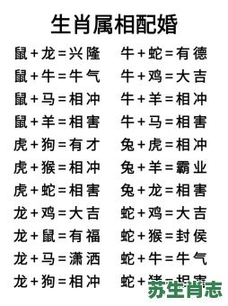 子孙后代是什么生肖？后代子嗣打一正确生肖