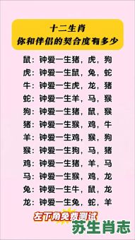 12数相是什么生肖？12生肖怎么分男女肖