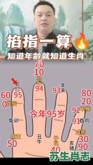 一岁生肖是什么？1岁打一准确生肖