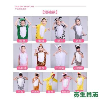 鸭子代表是什么生肖？鸭子在12生里代表什么生肖