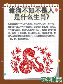 猪狗的朋友是什么生肖？猪狗朋友打一最佳生肖