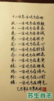 不甘寂寞是什么生肖？寂寞身后事打一生肖