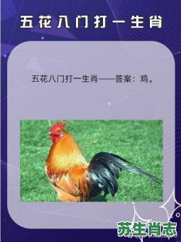 中央五套是什么生肖?中央五套打一数字 中央五套是什么生肖?中央五套打一数字