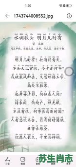 明月几时有是什么生肖？《明月几时有》全诗