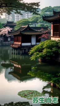 江南水乡是什么生肖？江南水乡打一个数字