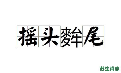 摇头又摆尾是什么生肖？摇头准确答案生肖