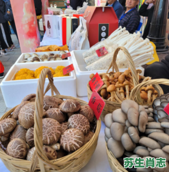 一斛凉州是什么生肖？一斛凉州打一最佳答案