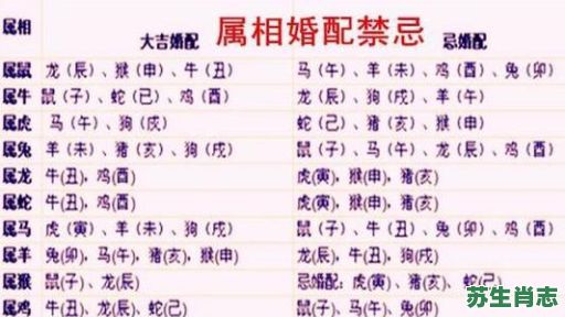 1997生肖是什么？97年和什么属相最配