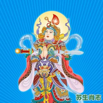 韦陀菩萨是什么生肖？韦陀打一最佳动物