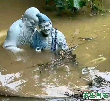 泥马过河是什么生肖?泥菩萨过河最准确生肖 泥马过河是什么生肖?泥菩萨过河最准确生肖