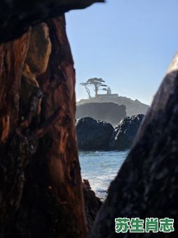 悬崖勒马是什么生肖？悬崖勒马打一最佳生肖