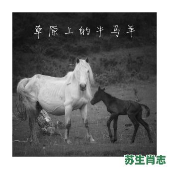 大地舂歌是什么生肖？大地草原牛马欢是什么生肖?