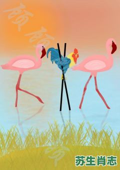 鸡立鹤群是什么生肖？鹤立鸡群令人钦正确一肖