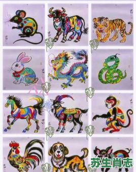 鬼马的生肖是什么动物？鬼是指什么生肖