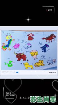 17生肖是什么？一七指什么生肖