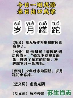 岁月蹉跎是什么生肖？岁月痕迹打一生肖