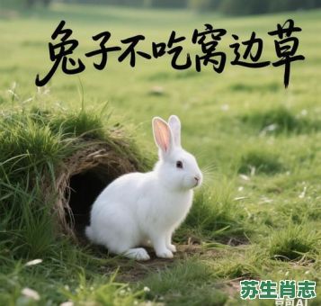 草地是什么生肖的家？草指什么动物什么生肖