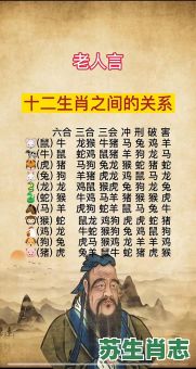 贪吃大睡是什么生肖？贪吃贪睡最正确生肖