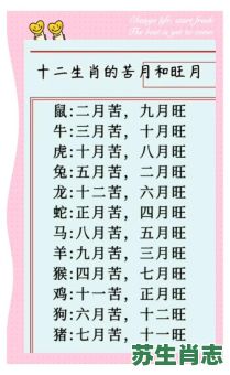 这个月是什么月生肖？6月是什么生肖月
