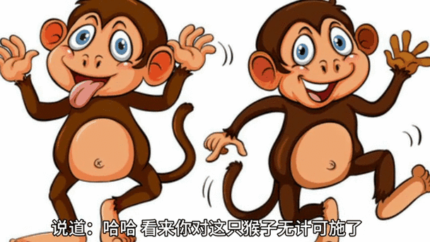 杀鸡做猴是什么生肖？杀鸡儆猴打一动物生肖