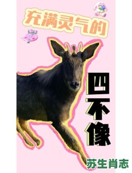 非常热的生肖是什么？热指的是什么动物