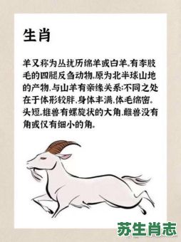 耍滑头是什么生肖？滑头代表什么生肖