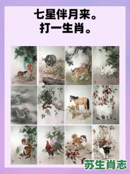 表打一生肖是什么生肖？徒有其表打一生肖