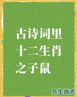岁月峥崂逢是什么生肖?岁月峥崂逢子鼠的意思 岁月峥崂逢是什么生肖?岁月峥崂逢子鼠的意思