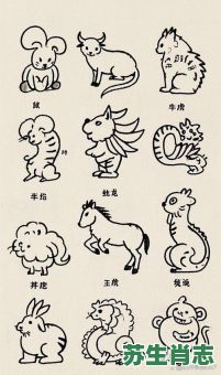 黑白相间是什么生肖？黑白分明最佳答案一肖