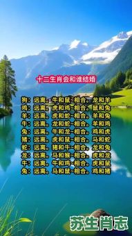 猜无看新娘是什么生肖？新郎官是什么生肖