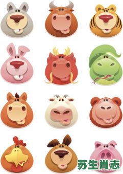 牙齿整齐的动物是什么生肖？十二生肖谁的牙齿最整齐