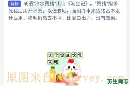 冷水烫猪是什么生肖？冷水烫猪最佳答案一肖