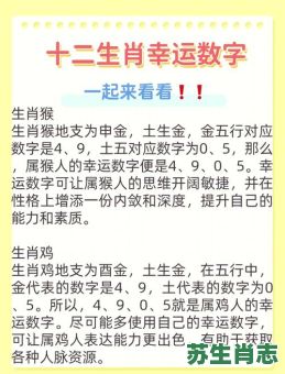 一五合成三五数是什么生肖？有三有五打一数字