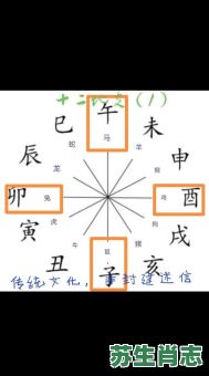 四三合我心是什么生肖?十二生肖所对应的地支 四三合我心是什么生肖?十二生肖所对应的地支
