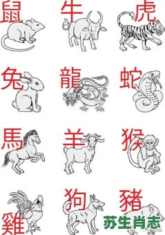 二四门必出是什么生肖？二三门是什么生肖动物
