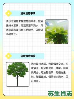 女孩种小树浇水是什么生肖?向河里泼水是什么生肖 女孩种小树浇水是什么生肖?向河里泼水是什么生肖