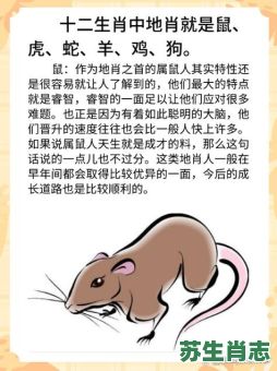 鼠后狗前是什么生肖?狗克鼠还是鼠克狗 鼠后狗前是什么生肖?狗克鼠还是鼠克狗