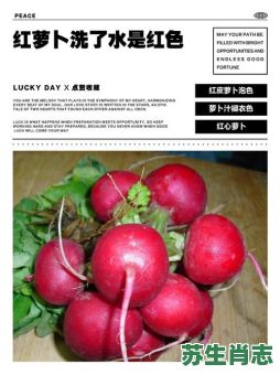 受吹红萝卜是什么生肖？萝卜代表什么生肖有几个