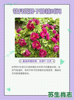 牡丹花指的是什么生肖？牡丹最佳答案一肖