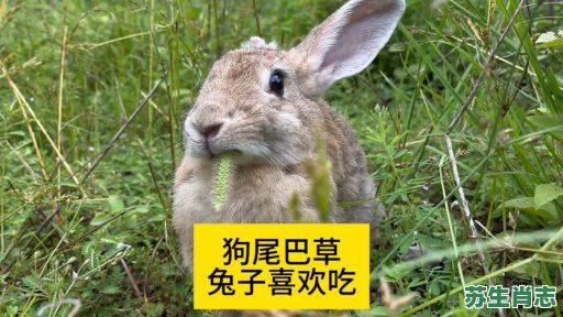 爱吃青草的动物是什么生肖？十二生肖爱青草的动物