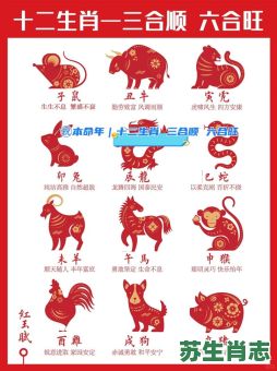 迈入庚辰更不同是什么生肖?庚在十二生肖代表什么 迈入庚辰更不同是什么生肖?庚在十二生肖代表什么