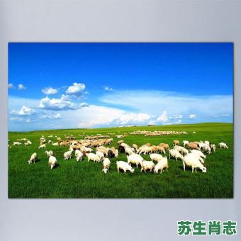 跪在地上吃青草是什么生肖？欲钱买吃青草的生肖