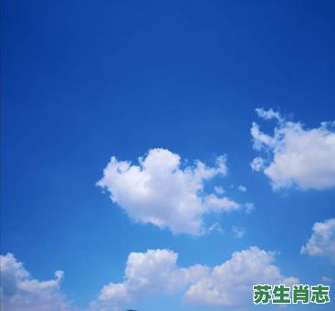 野外天空小星星是什么生肖？天空生肖是哪几肖