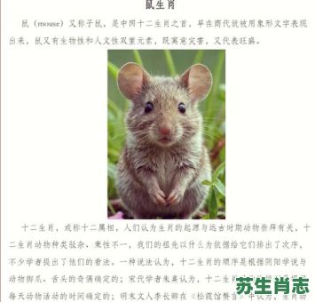 欲钱买长索是什么生肖？欲钱买长胡须的动物