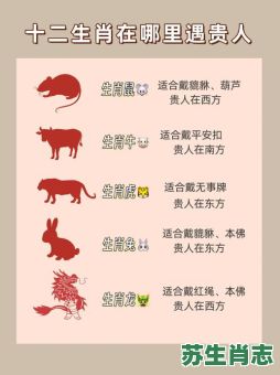 欲钱买客人到家是什么生肖？回家代表什么生肖