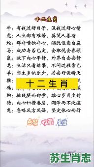 心善千人骂是什么生肖?马马虎虎是什么生肖 心善千人骂是什么生肖?马马虎虎是什么生肖