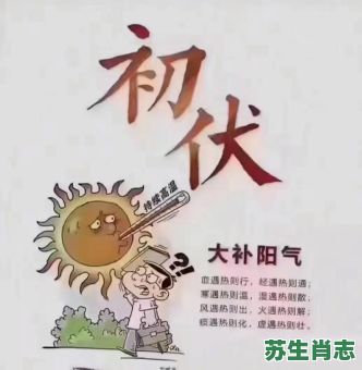秋后算账是小人是什么生肖？秋后算账啥意思
