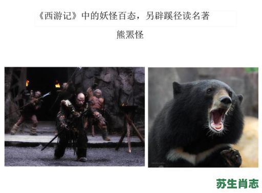 西游记35回是什么生肖？西游记五十回是什么妖怪